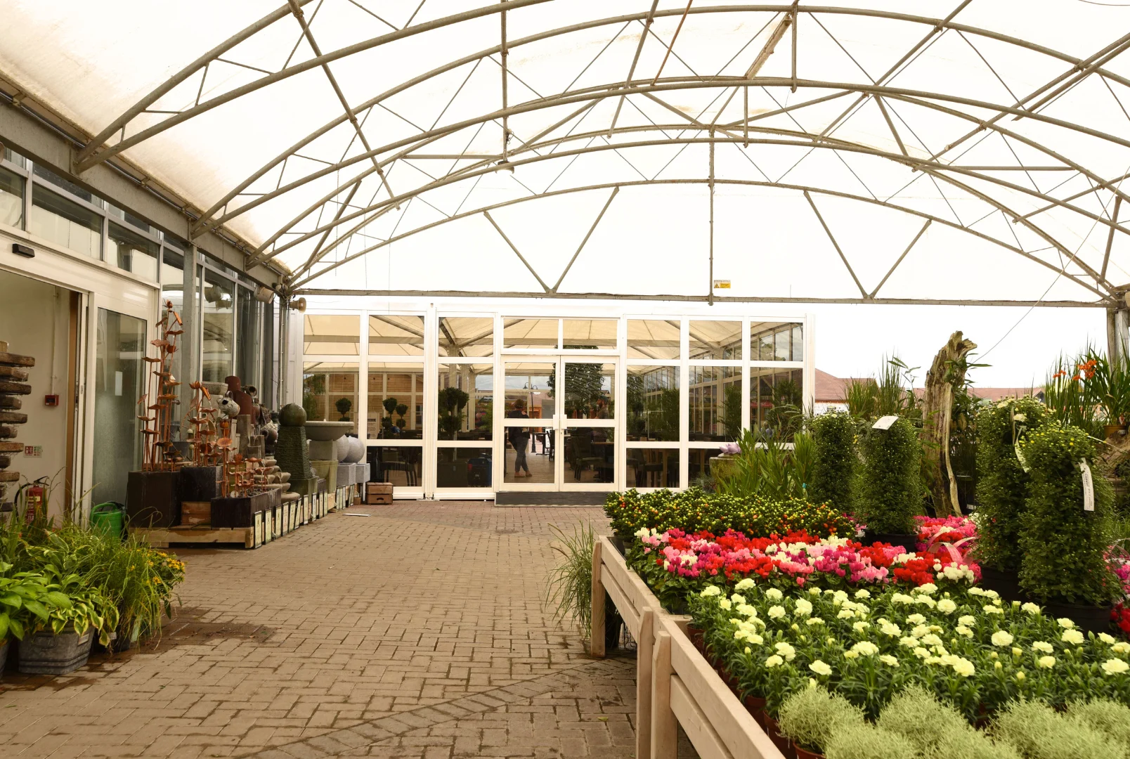 A bright greenhouse filled with various potted flowers and plants for sale.